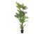 Palma Areca, 180 cm
