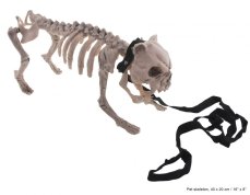Halloween kostra psa, 43x15x21 cm Halloween kostra psa, 43x15x21 cm