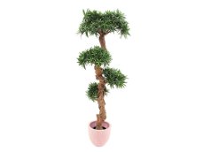 Bonsai palma, 120cm – rozbaleno (82511514)