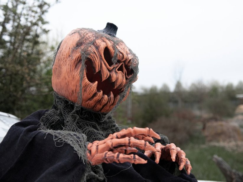 Halloween dýňové zombie torzo, 50 cm