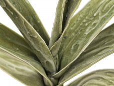 Větvička yucca (EVA), zelená,
