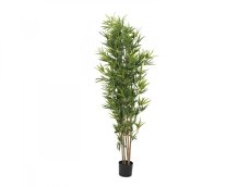 Europalms Bambus deluxe, 180cm Europalms Bambus deluxe, 180cm