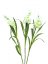 EUROPALMS Sada arum, 3 větve s LED bílé 85cm