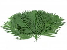 Kokosový palmový list střední, 110 cm, 12 ks