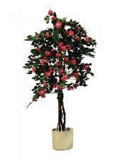 Bougenvilia červená, 240cm - rozbaleno (82507058) Bougenvilia červená, 240cm - rozbaleno (82507058)