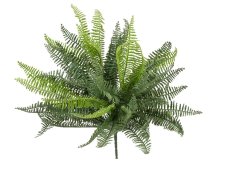 FIRESILX Volánková kapradina trs, 38 cm
