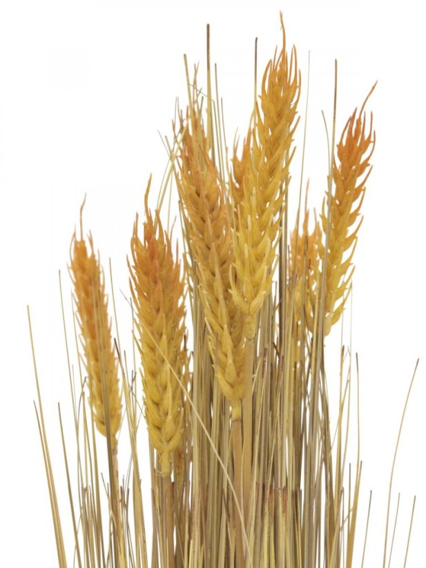 Svazek pšenice, 60 cm