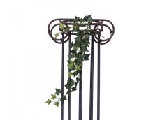 Divoký břečťan trs střední, 70 cm Divoký břečťan trs střední, 70 cm