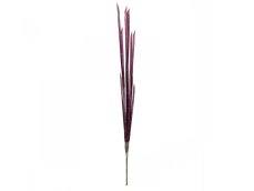 Magické stonky cibule růžové, 134 cm