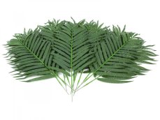 Kokosový palmový list krátký, 80 cm, 12 ks Kokosový palmový list krátký, 80 cm, 12 ks