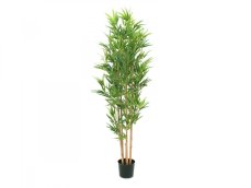Europalms Bambus deluxe, 150cm Europalms Bambus deluxe, 150cm