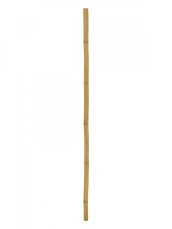 Tyč bambusová, prům.5cm, délka 200cm Tyč bambusová, prům.5cm, délka 200cm