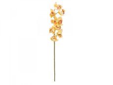 Orchidej větvička, žlutá, 90 cm Orchidej větvička, žlutá, 90 cm