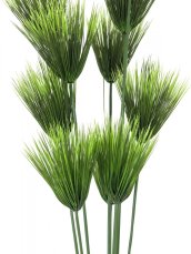 Papyrus palma, 150 cm