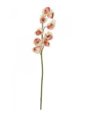 Orchidej větvička, krémově růžová, 90 cm Orchidej větvička, krémově růžová, 90 cm