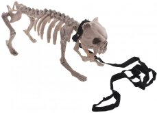 Halloween kostra psa, 43x15x21 cm Halloween kostra psa, 43x15x21 cm