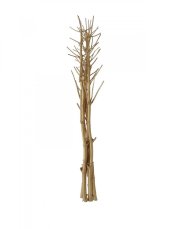 Suché větvičky fenyklu, zlatá, 160 cm Suché větvičky fenyklu, zlatá, 160 cm