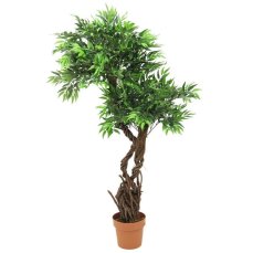 Vrba, výška 145 cm - použito (82506740) Vrba, výška 145 cm - použito (82506740)