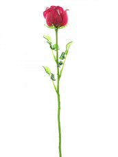 Růže červená, křišťálová 81cm, 12ks