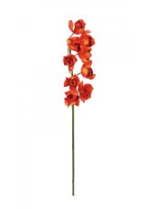 Orchidej větvička, červená, 90 cm Orchidej větvička, červená, 90 cm