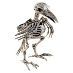 Halloween kostra ptáka