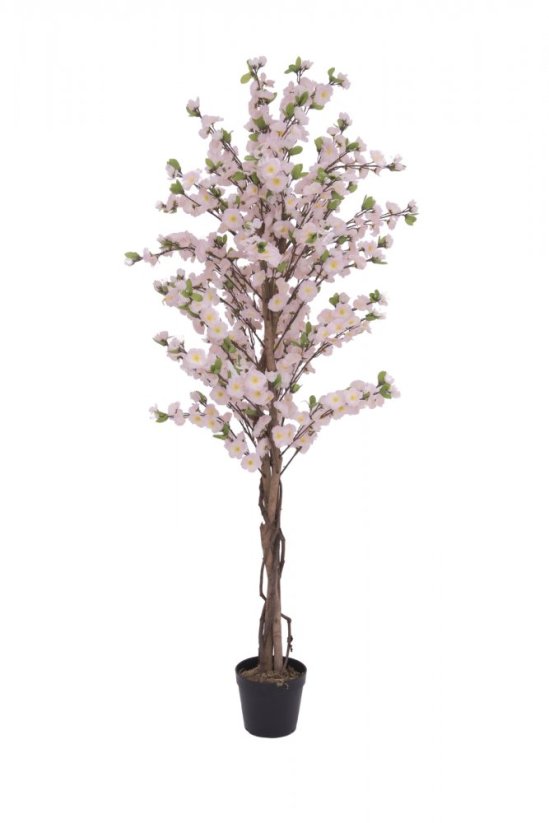 Třešeň se 4 kmeny růžová, 150 cm