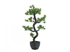 Borovicová bonsai, 95cm