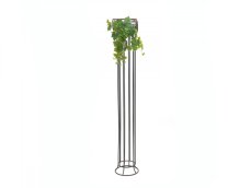 Vinná réva trs, premium, 50cm Vinná réva trs, premium, 50cm
