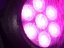 EUROLITE LED IP PAR 7x15W RGBL bodové světlo