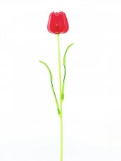 Tulipán červený – křišťálový, 61 cm, 12 ks