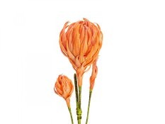 Větvička dálie, oranžová, 100 cm