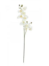 Orchidej větvička, krémově-bílá, 100 cm Orchidej větvička, krémově-bílá, 100 cm