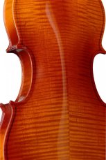 Stagg VN-4/4 L, housle s pouzdrem