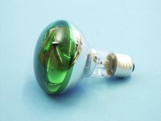 Omnilux R80 230V/60W E-27, zelená