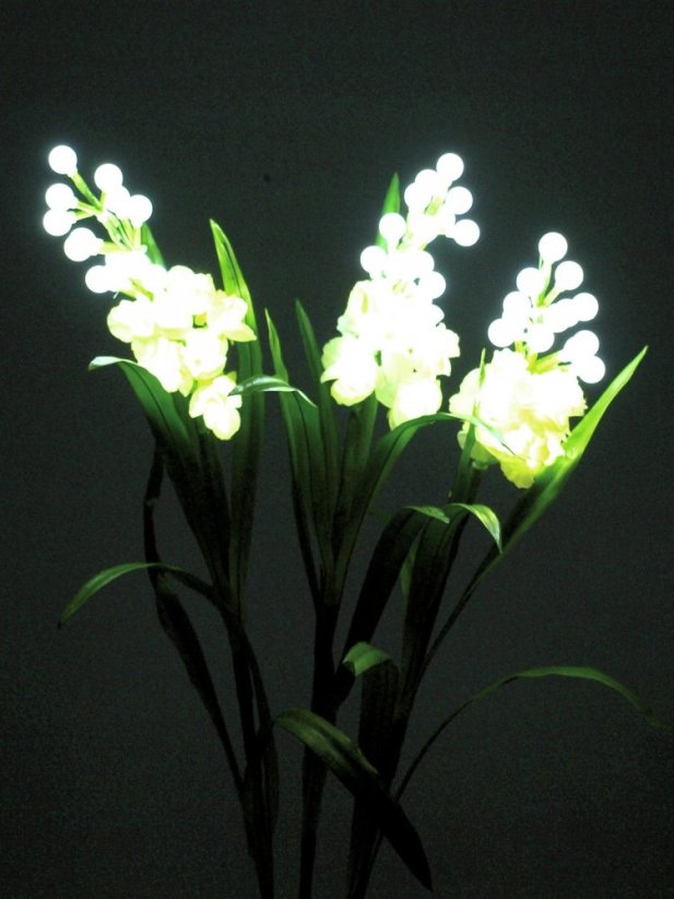 EUROPALMS Sada arum, 3 větve s LED bílé 85cm