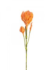 Větvička dálie, oranžová, 100 cm