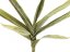 Větvička yucca (EVA), zelená,