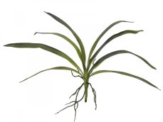 Orchidej listy, zelené, 45 cm