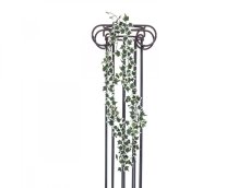 Girlanda z Holandského břečťanu, 180 cm