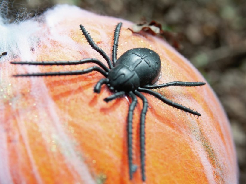Halloween dýně v pavoučí síti s LED lebkou, 25 cm - DOPRODEJ