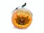 Halloween dýně v pavoučí síti s LED lebkou, 25 cm - DOPRODEJ