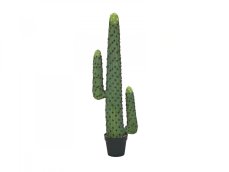 Mexický kaktus zelený, 117 cm