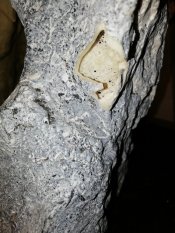 Fontána Artemis, s čerpadlem - poškozeno (83309146)