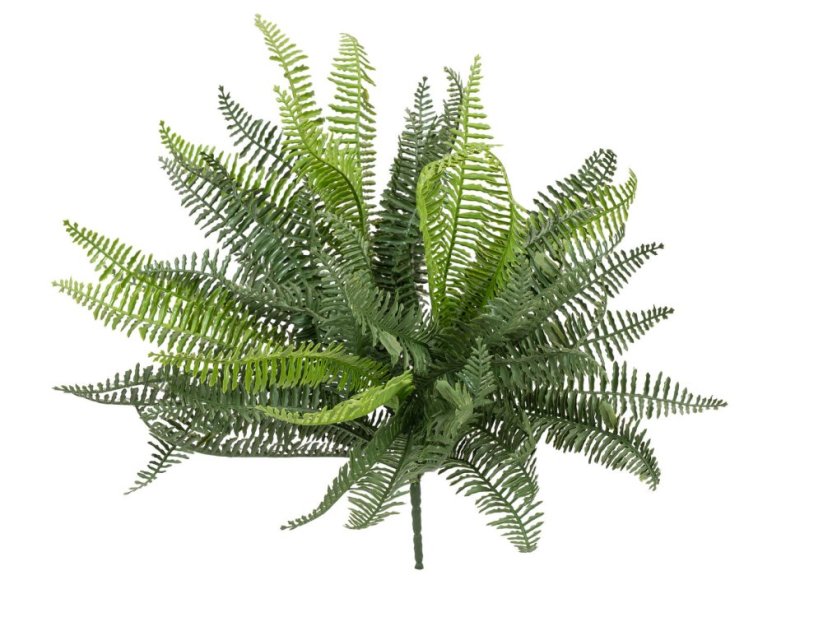 FIRESILX Volánková kapradina trs, 38 cm