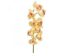 Orchidej větvička, žlutá, 90 cm Orchidej větvička, žlutá, 90 cm
