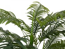 Palma Areca, 2 kmeny, 120 cm