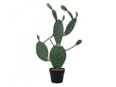 Kaktus Nopal, 76cm Kaktus Nopal, 76cm