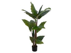 Taro Alocasia, umělá rostlina, 140cm