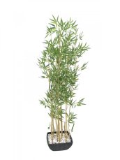 EUROPALMS Bambus v misce, umělý, 150cm EUROPALMS Bambus v misce, umělý, 150cm