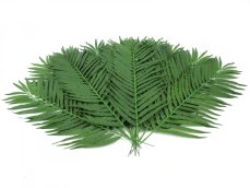 Kokosový palmový list krátký, 90 cm, 12 ks Kokosový palmový list krátký, 90 cm, 12 ks